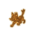 Gold Torracat